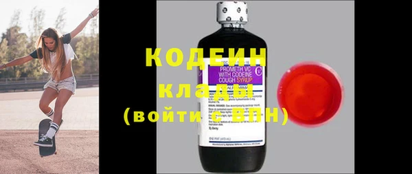 крисы Верхний Тагил