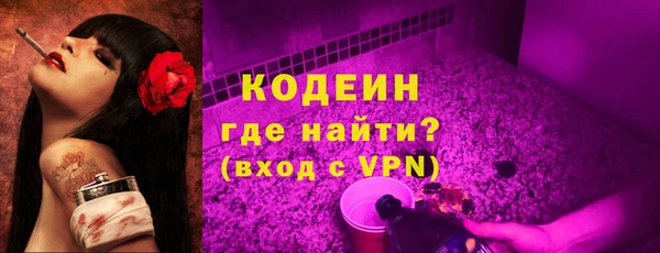 крисы Верхний Тагил