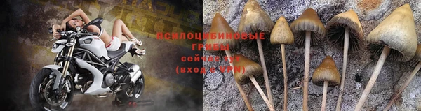 крисы Верхний Тагил